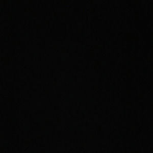 Meet your Posher, George